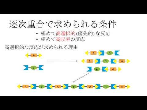 段階重合について詳しく解説