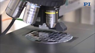 Piezo Speed is Enabler for 100% Testing: Microscopy, Surface Metrology