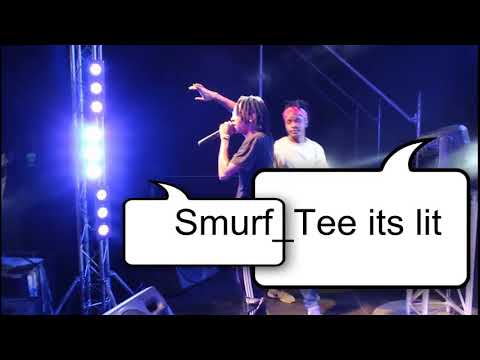 SMURF_TEE"S PERFOMANCE (Official Video)