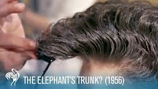 The Elephant&#39;s Trunk?: 1950&#39;s Men&#39;s Hair Styles (1956) | British Pathé