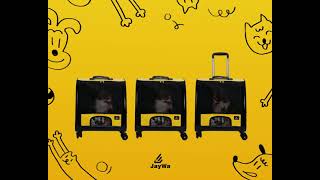 กระเป๋าหมาล้อลาก Let's enjoy dancing !!