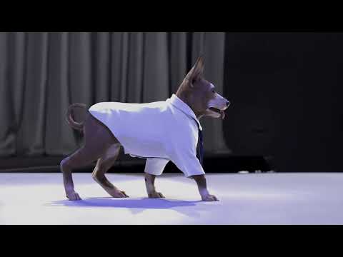 Nooshie Runway Teaser 2023