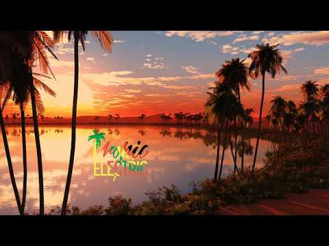 Dj Moiz feat Linkhan - Shake It