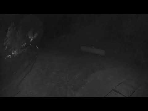 Possible Fresno Nightcrawler Captured On CCTV 4/25/20