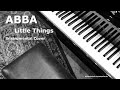 ABBA Little Things Instrumental Cover