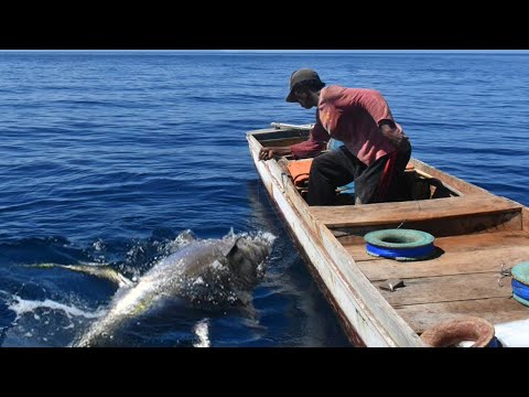 Amazing Gian Fishing Tuna By Handline - Most Satisfying Live Fishing Tuna Videos