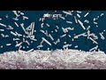 Edward Scissorhands Channel 4 Intro