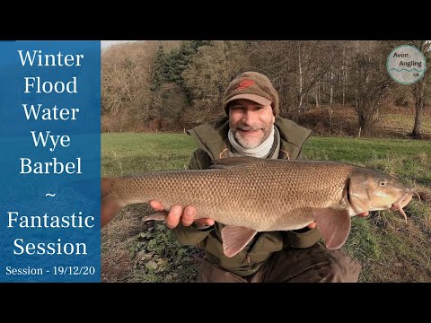 Winter Floodwater Barbel Fishing - Wye Up 3m & Rising! - Fantastic Session - 19/12/20 (Video 202)