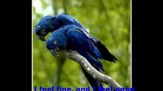 bizzare love triangle - stabbing westward