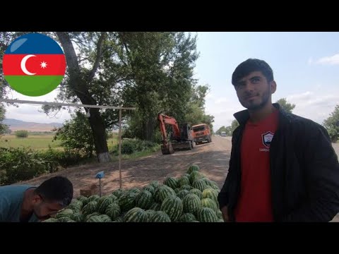 🇦🇿 Azerbaijan Road Trip Part 5 - Red Bridge Customs Post to Ganja