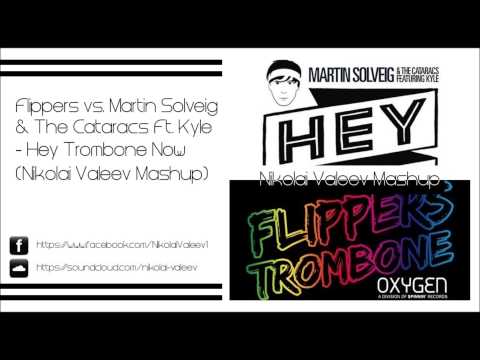 Flippers vs. Martin Solveig & The Cataracs Ft. Kyle - Hey Trombone Now (Nikolai Valeev Mashup)