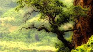 KEIKO MATSUI - FOREVER FOREVER.wmv