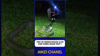 Download lagu THIS MAN EVACUATES A HUGE KING COBRA SNAKE part 1 mp3 Download lagu THIS MAN EVACUATES A HUGE KING COBRA SNAKE part 1 mp3
