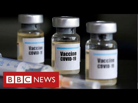 冠狀病毒疫苗突破的希望 - BBC News (Hopes of coronavirus vaccine breakthrough - BBC News)