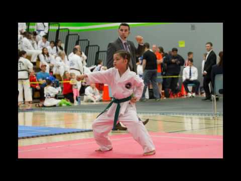 2016 ITF Gen. Choi Legacy World Cup, Taekwon-Do Tournement