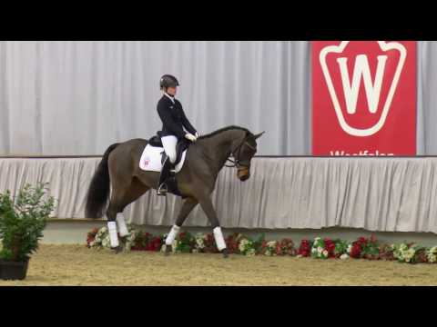 03  Rock Lady Stute v. Rock Forever I - Levisto