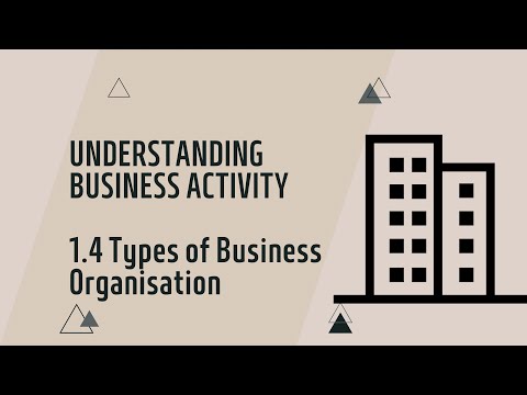 IGCSE Business Studies: Chapter 1.4 Types of Business Organisations