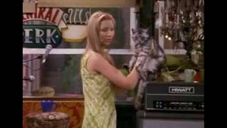 Phoebe's Mother, The Cat