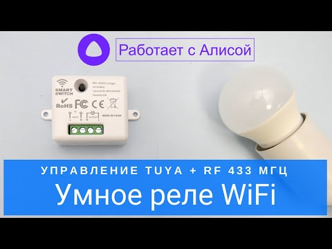 Умное реле Tuya WiFi с беспроводным радио управлением 433 МГц, работает с Яндекс Алиса