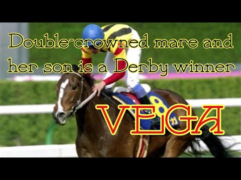 Vega（ベガ）, introduce the great horse of Japan