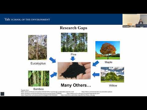 20250917 YSE BIOMES - Yuan Yao, Yale School of the Environment