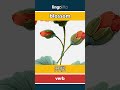 blossom - 开花 video thumbnail