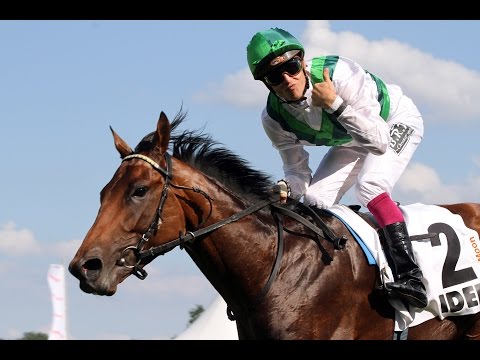 Deutsches Derby Hamburg