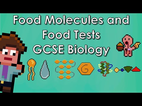 Food Molecules and the Food Tests - WJEC Biology - (GCSE REVISION)