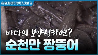 감기 저리 가라~ 이것만 100마리 먹으면 걱정이 없어요! 추어탕보다 더 보양되는 짱뚱어 탕 추천! #순천만…