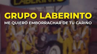 Grupo Laberinto - Me Quiero Emborrachar de Tu Cariño (Audio Oficial)