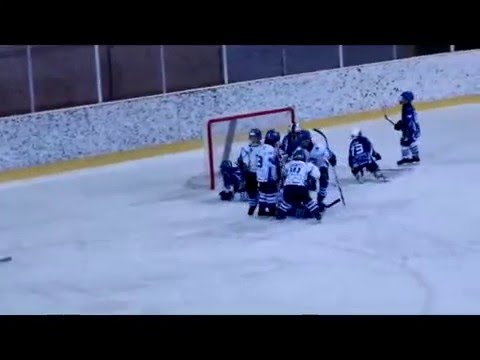 DP HOKEJ  U-12  ZADETKI,AKCIJE    HKMK BLED A :HKMK BLED B   30.1.2016