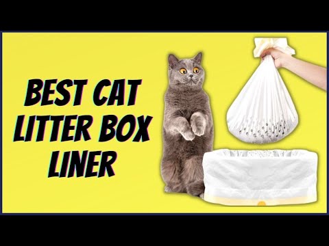 Best Cat Litter Box Liner (Keeps The Litter Box Clean & Odor-Free)