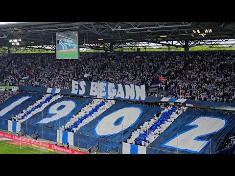 MSV Duisburg - Stuttgart 2 / 2:1 Heimsieg für den MSV / Stimmungsvideo / #msv #msvduisburg 