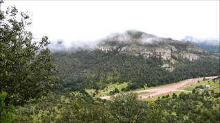 Cuatro Milpas con Antonio Aguilar