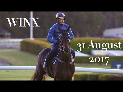 ATC TV: Winx Track Gallop - 31 August 2017