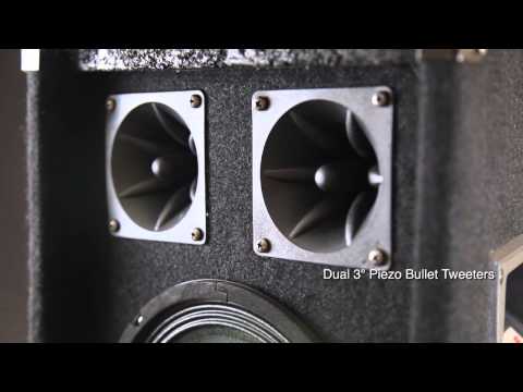 Rockville RSG8 8” 300 Watt 2-Way 8-Ohm Passive DJ/Pro PA Speaker, Pole Mountable image 7