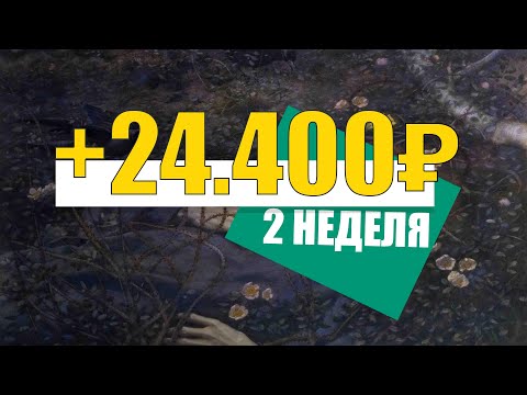💲 ДЕШЕВЫЕ АМЕРИКАНСКИЕ АКЦИИ ПО 3$. КУДА ВЛОЖИТЬ ДЕНЬГИ ?