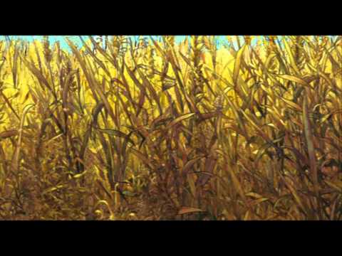 Petit corbeau - extrait 2