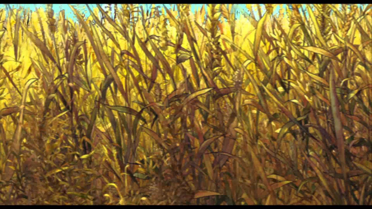 Miniature de la vidéo Petit corbeau - extrait 2 du film Petit Corbeau