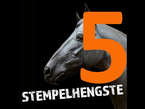Stempelhengste Podcast - 5 Sandro Hit