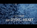 Evadne - Morningstar Song (Feat. Ana Carolina) Lyric Video