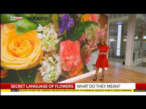 Sarah Jane Mee Valentine Flowers Sky News 2017 02 14