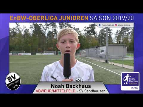 EnBW-Oberliga - SV Sandhausen - 19/20 - Noah Backhaus