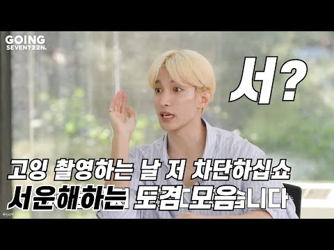 [세븐틴/도겸] INFP 17번 나온 사람 | 서운해하는(아닐시님이맞음) 도겸 모음 | GOING SEVENTEEN HIGHLIGHTS