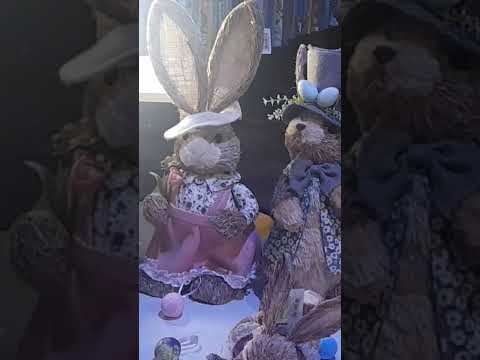 quem quer  conhecer  os coelho  de Rio do Campo Santa Catarina