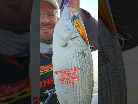 Μελανούρια ΤΕΡΑΤΑ με Boat Spinning Tsurinoya SWORDSMAN Tsurinoya Stinger 20gr #fishing #greece