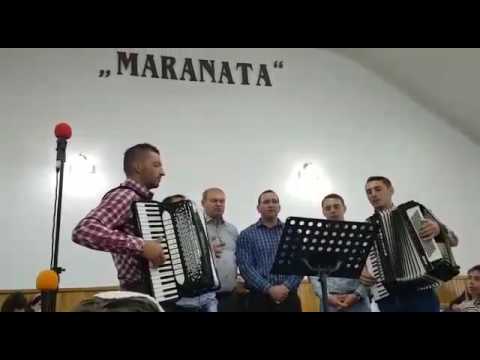 GRUPUL LEVITII DOMNULUI