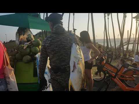 Sean T O Salla Brazil