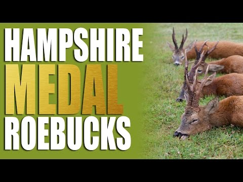 Hampshire Medal Roebucks Hampshire Medal Roebucks