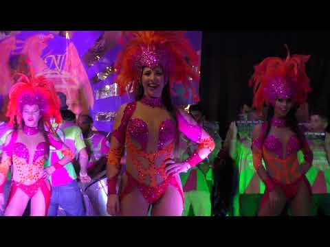 Sócios da Mangueira - Salgueiro 2017 @ I Festival de Samba Novo Império 2017